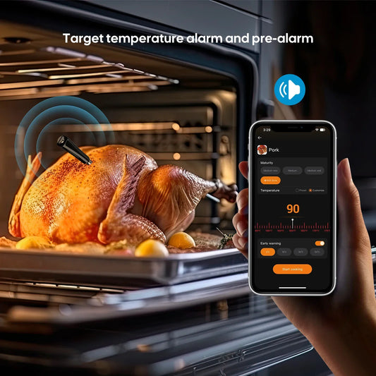 Tempwise WiFi Bluetooth Dual BBQ Meat Thermometer